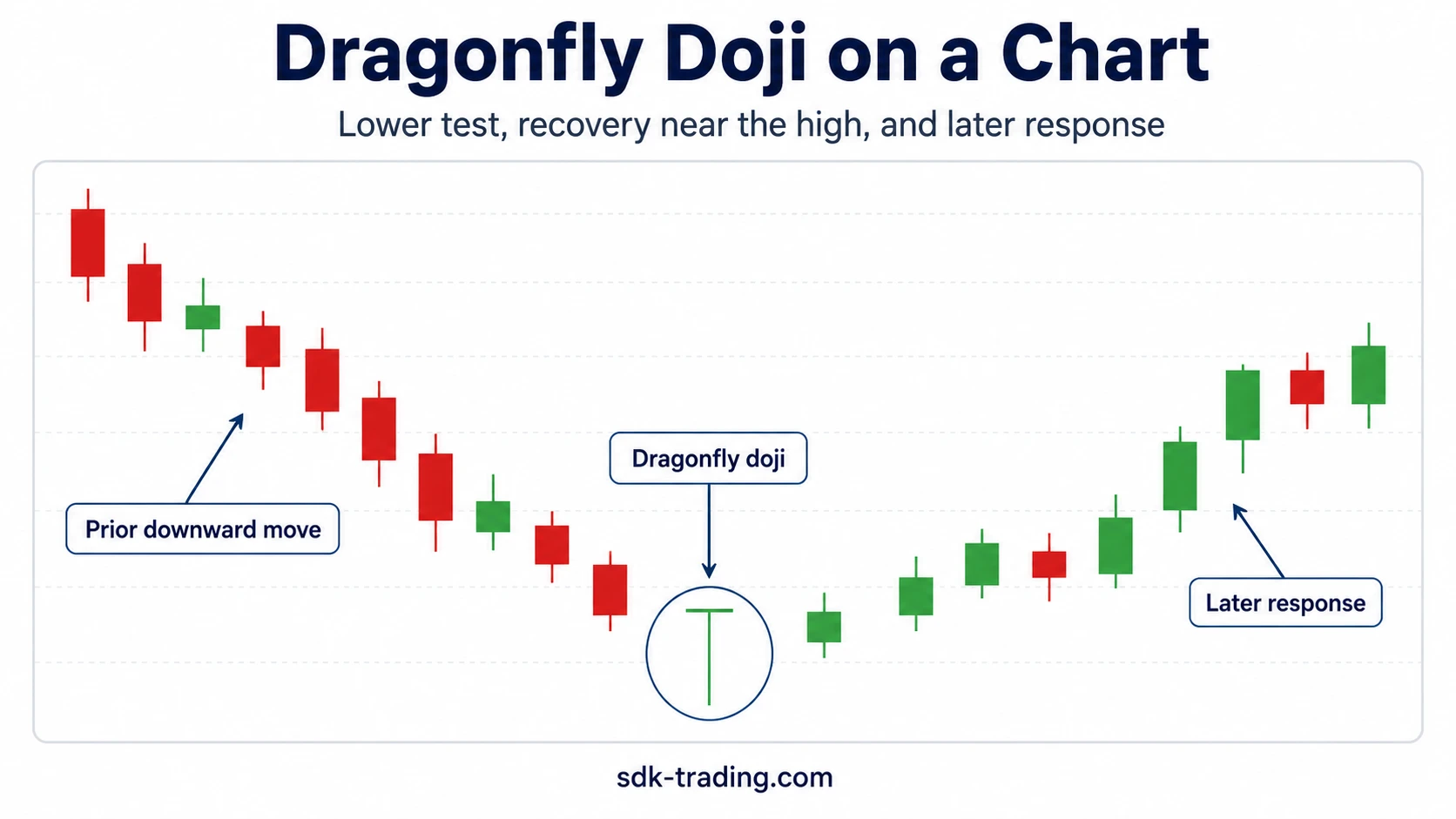 Dragonfly doji candlestick pattern on a chart with a circled candle after a prior downward move